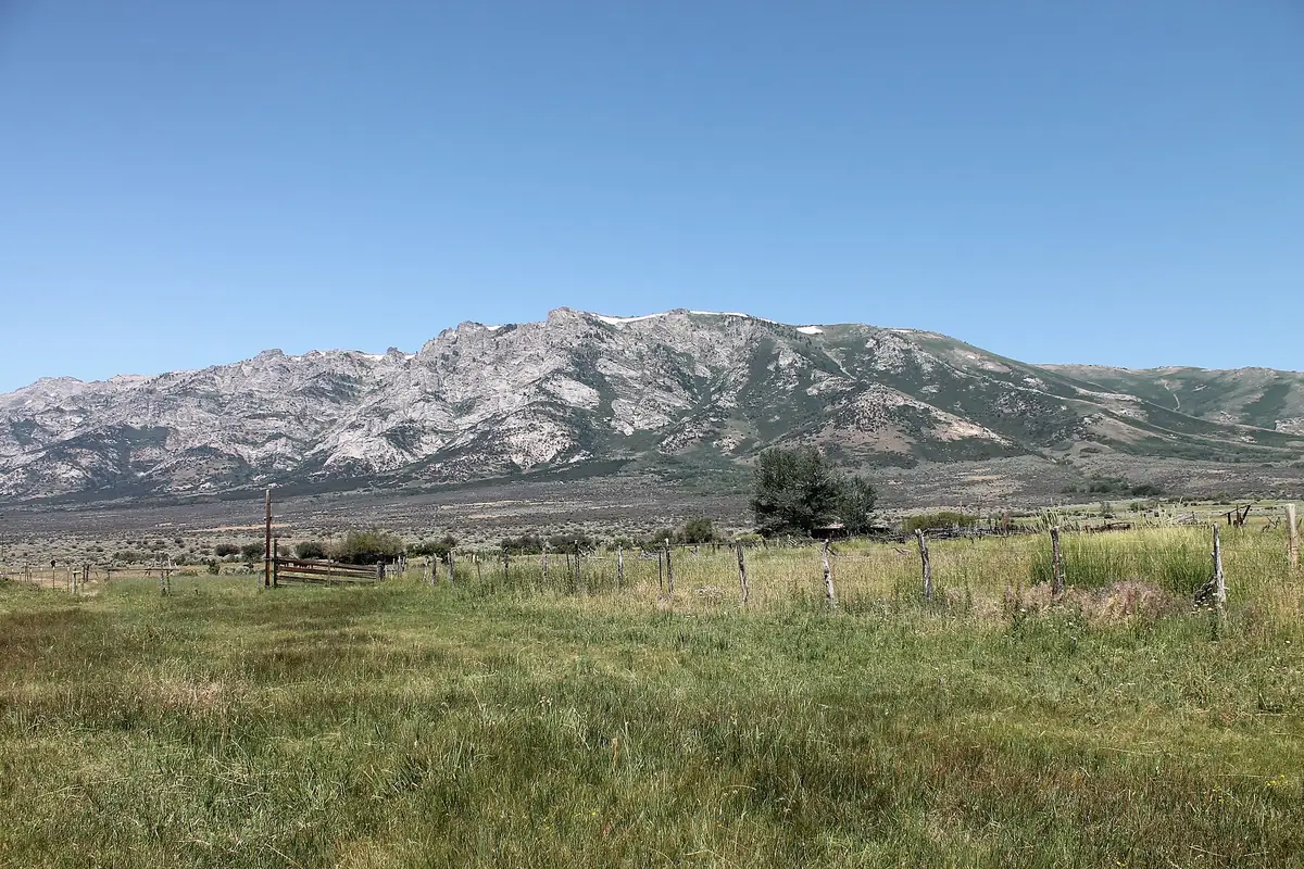 Ranch pasture and fence line in Ruby Valley below the Ruby Mountains, Elko County